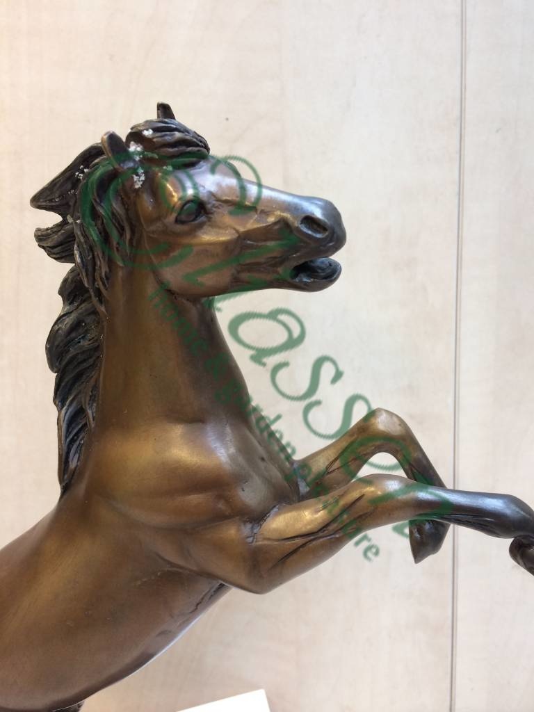 images img-5093-watermarked