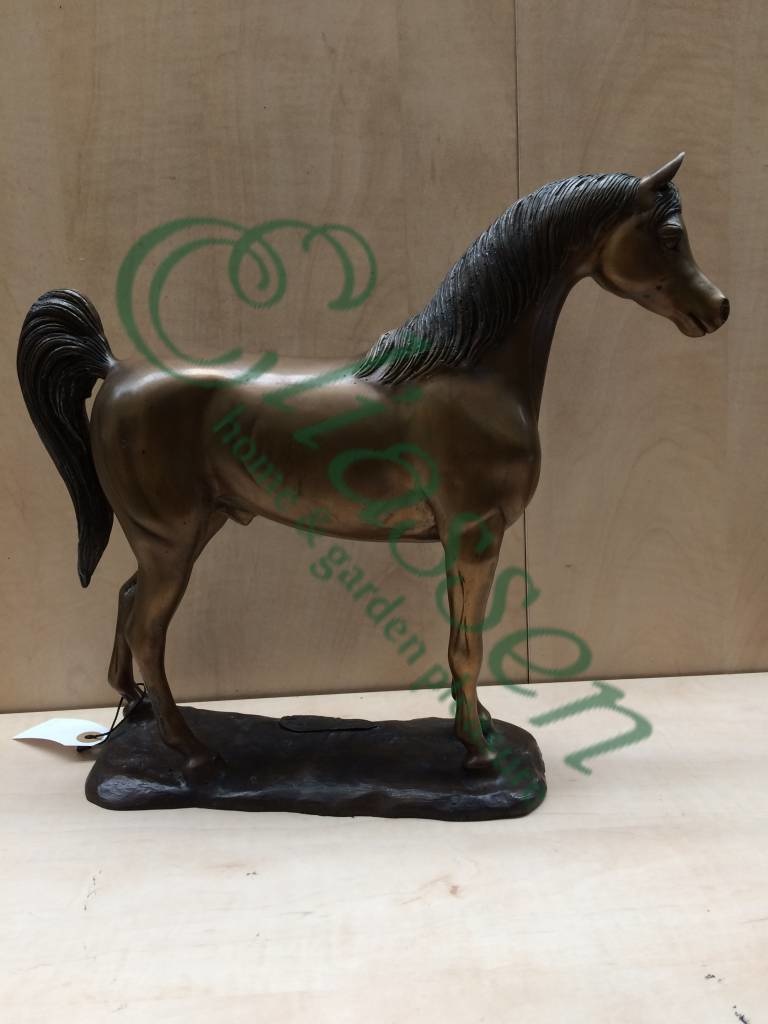 images img-5104-watermarked