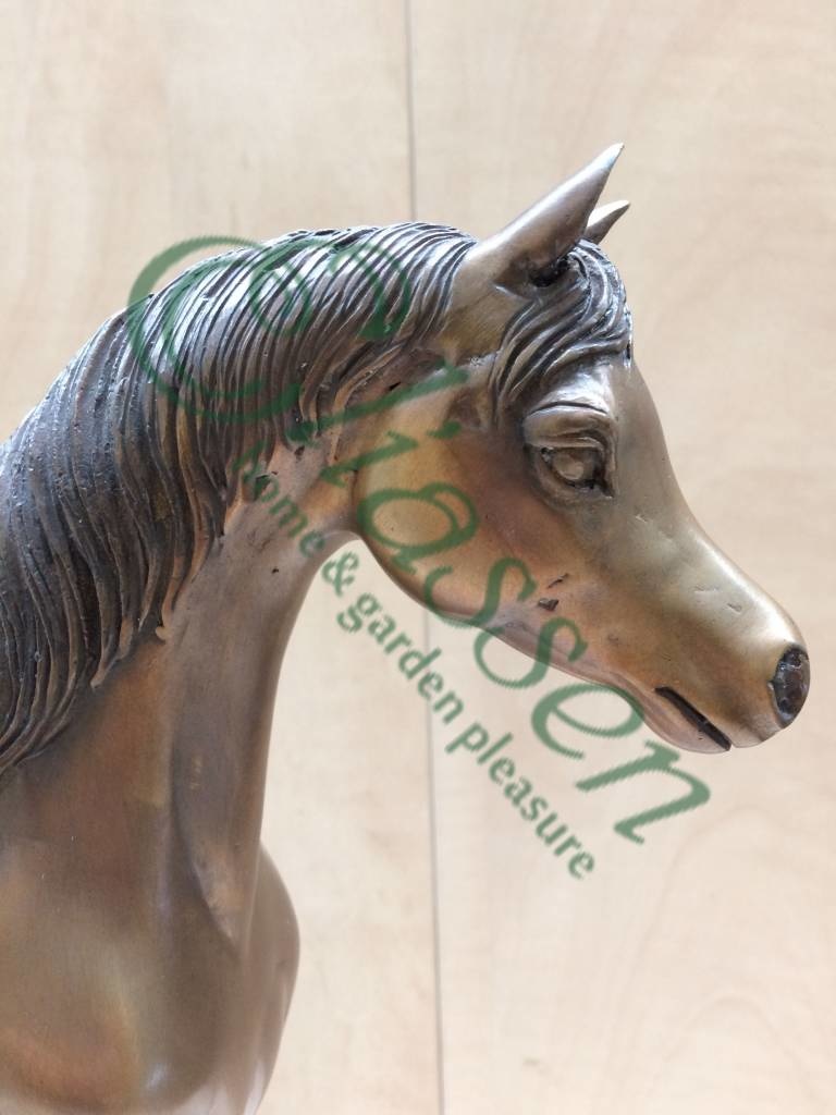 images img-5105-watermarked