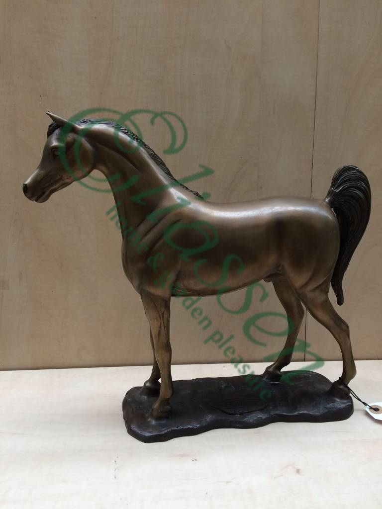 images img-5106-watermarked