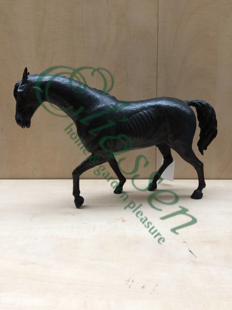 images img-5110-watermarked