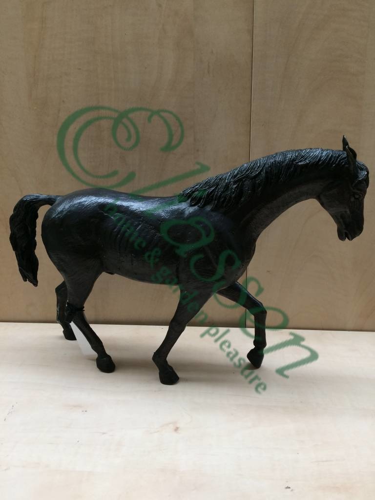 images img-5111-watermarked