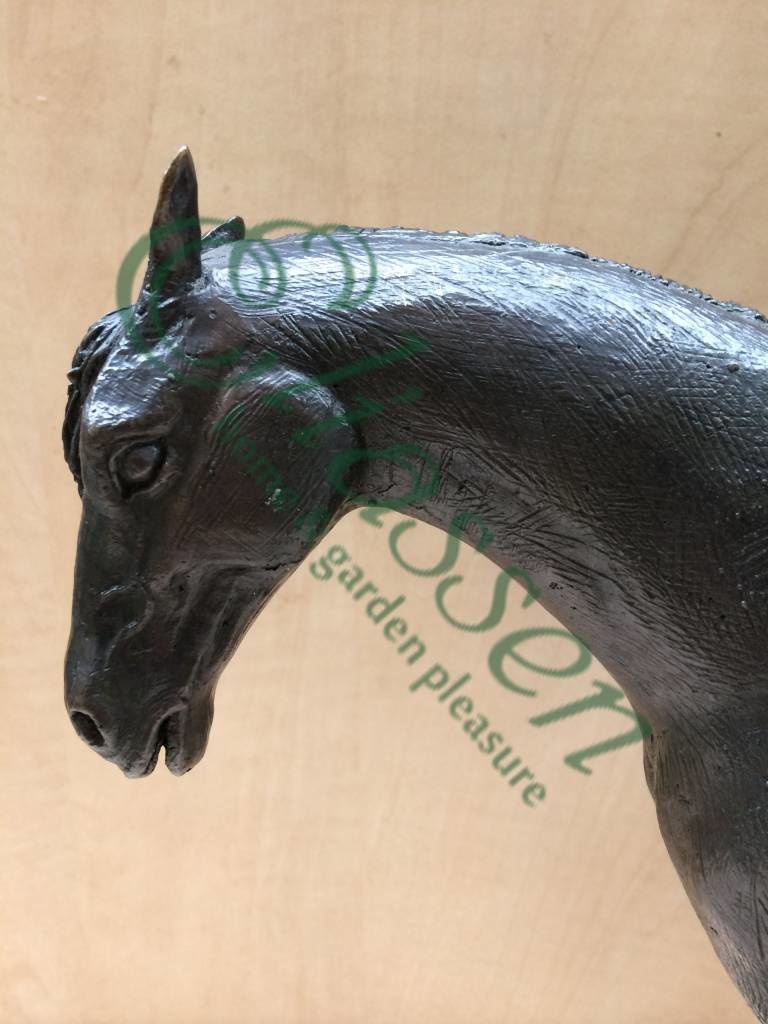 images img-5112-watermarked