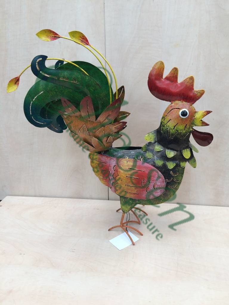 images img-5306-watermarked