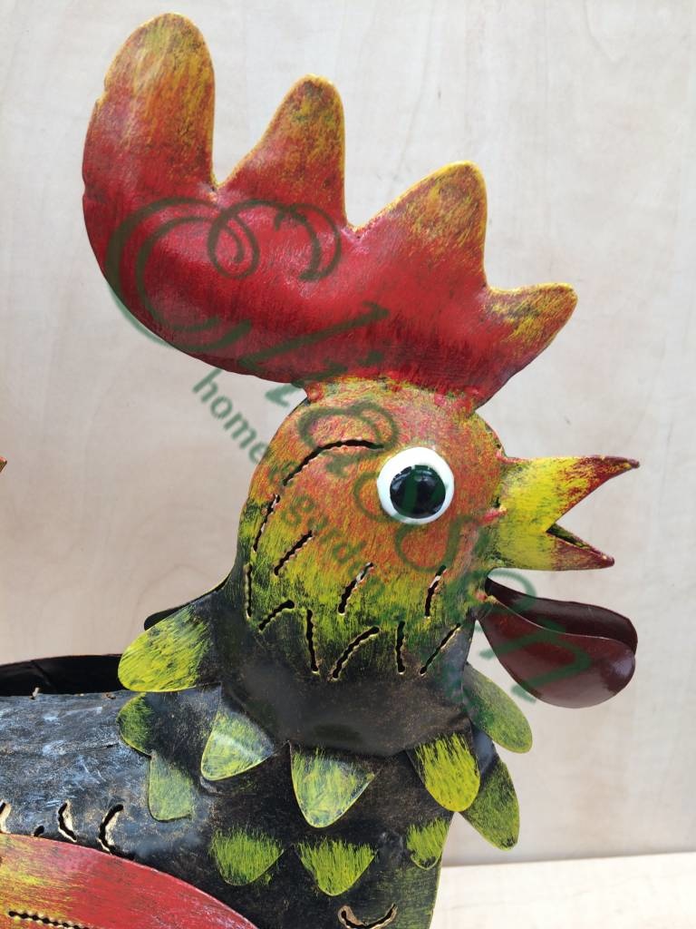 images img-5307-watermarked