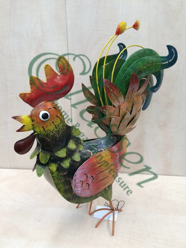 images img-5308-watermarked