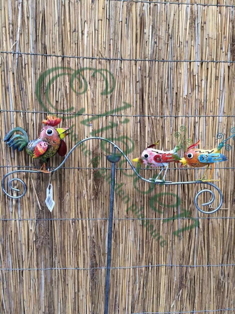 images img-5507-watermarked