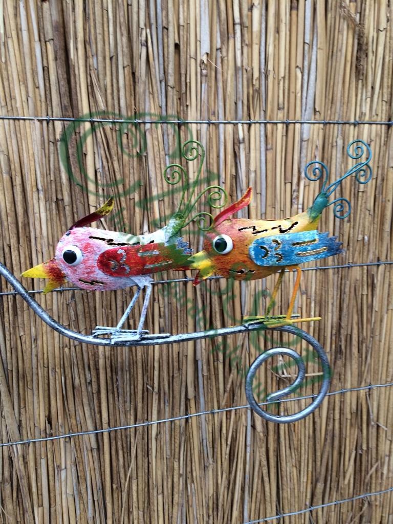 images img-5509-watermarked