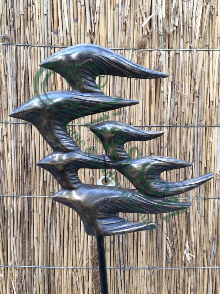 images img-5646-watermarked