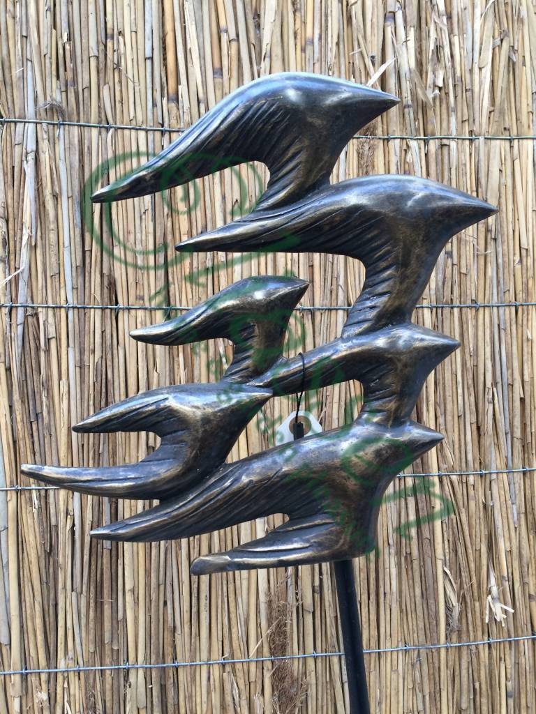 images img-5647-watermarked