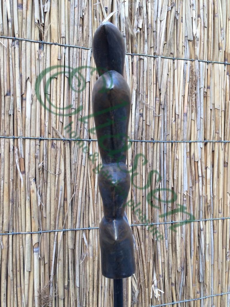 images img-5648-watermarked