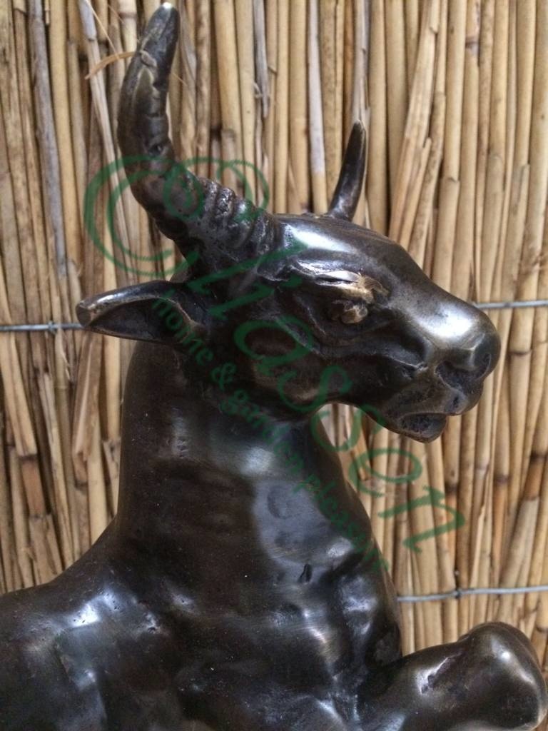 images img-6310-watermarked