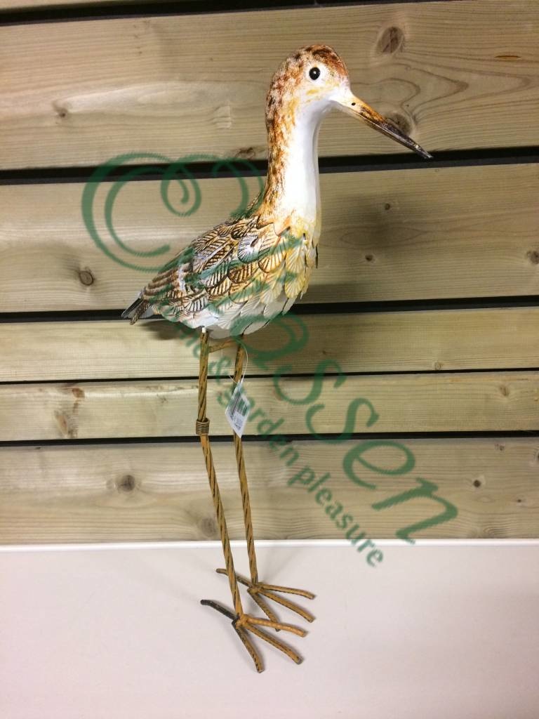 images img-6924-watermarked