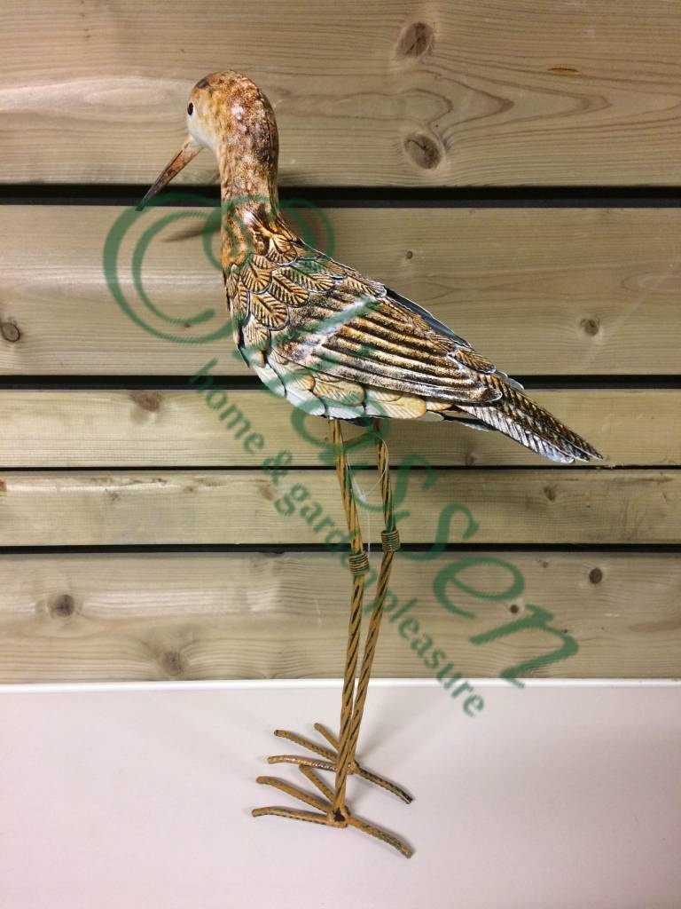 images img-6925-watermarked