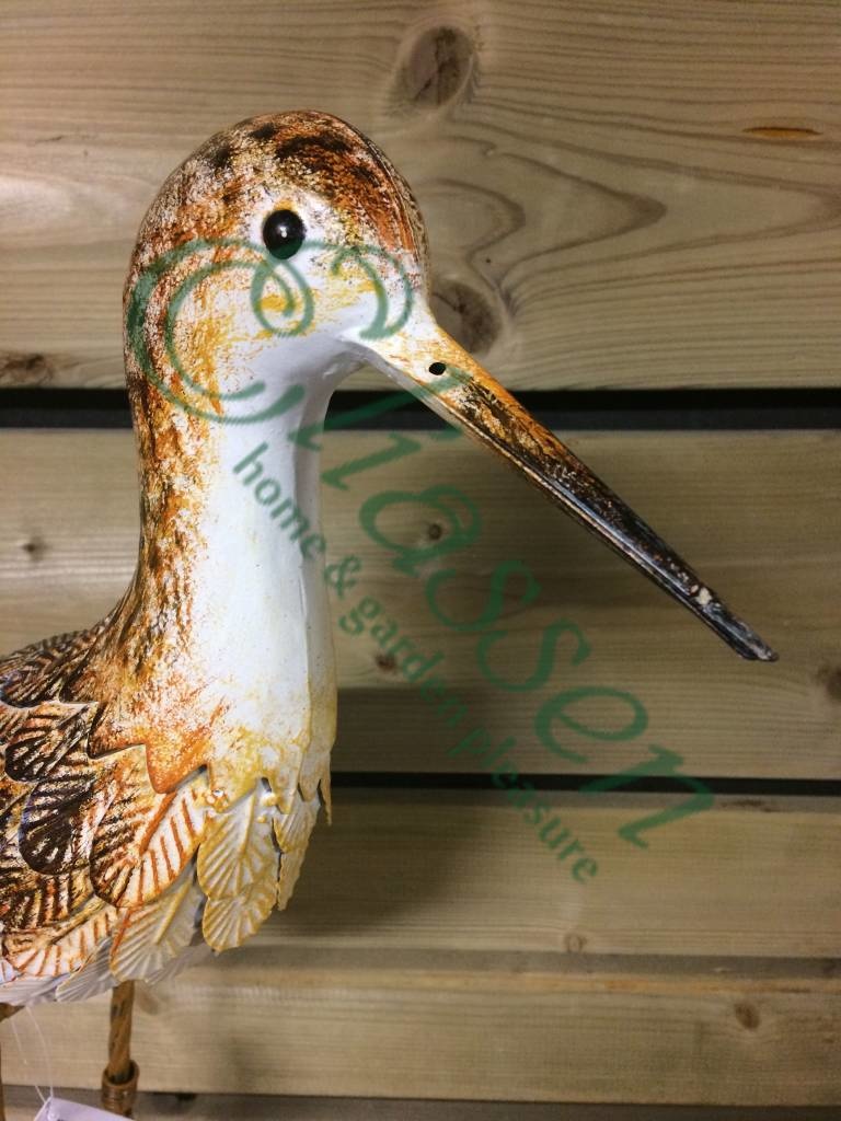 images img-6926-watermarked