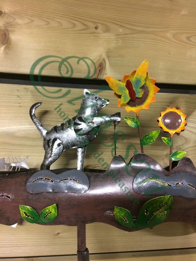 images img-6943-watermarked