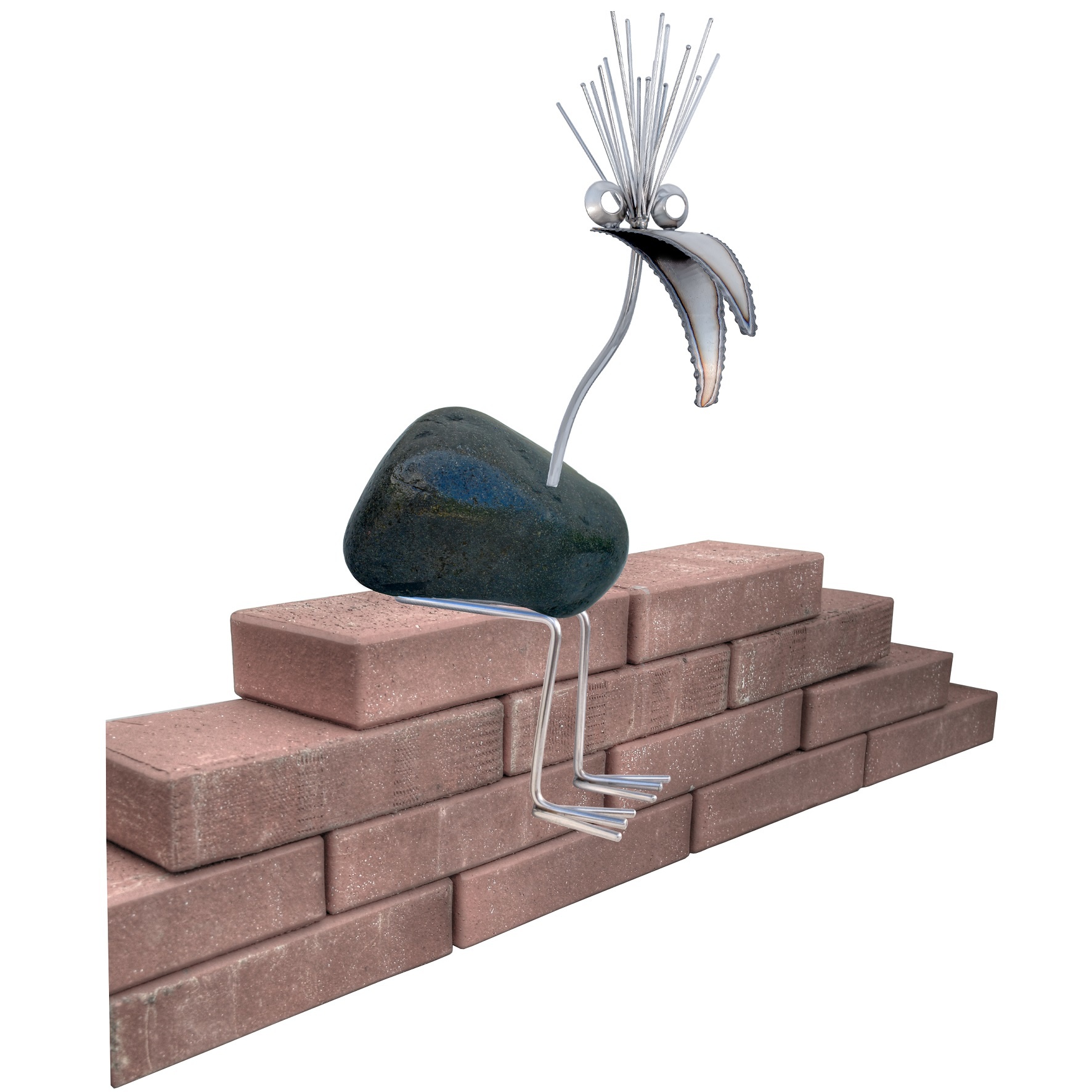 images Kantenhocker-Steinvogel-dunkel-gr-n