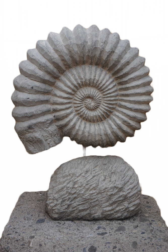 images Mijn project (1)