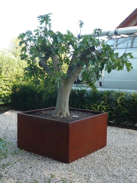images Plantenbak Cortenstaal Eliassen.nl 4