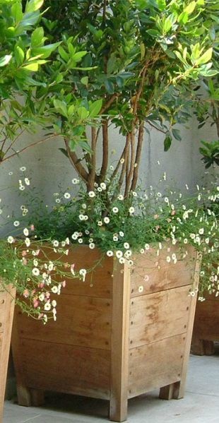 images Plantenbak Hardhout 3