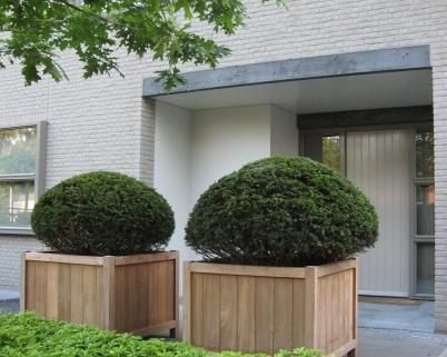 images Plantenbak Hardhout 4