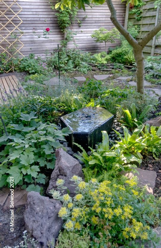 images plateau eliassen