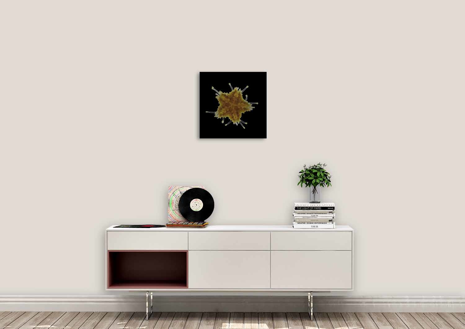 images urb-wonderful-life-018-188-74x74-rvs-mko_mu_1