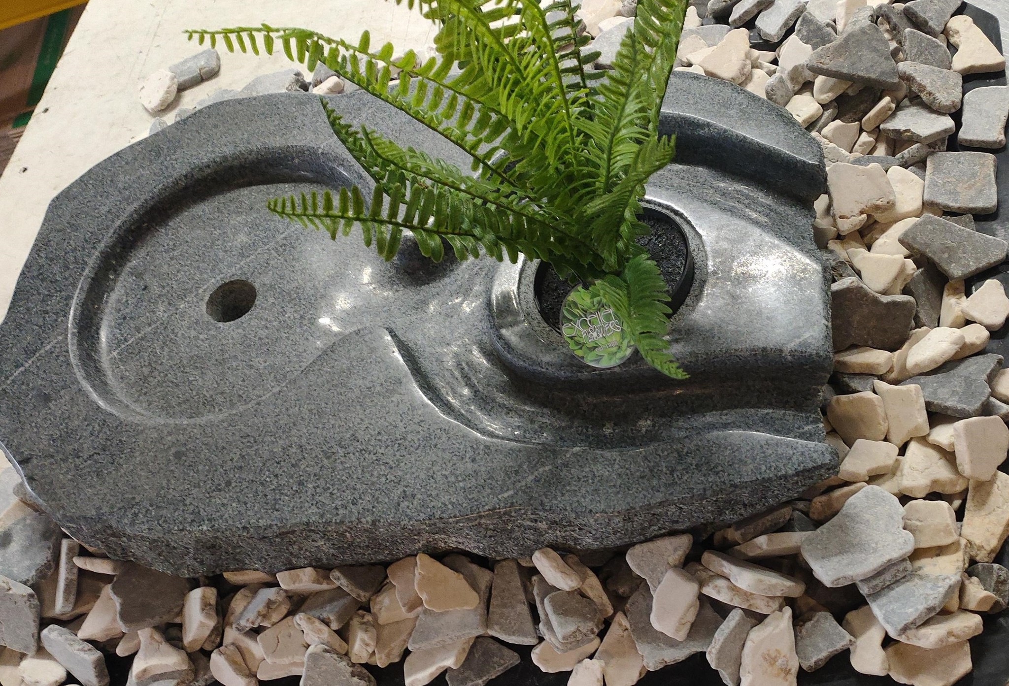 images waterset trea met varen eliassen.nl