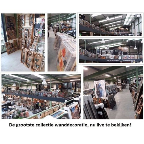 images winkel foto