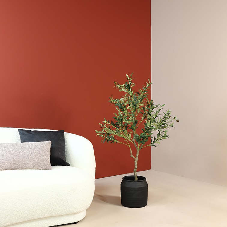 images 8718318048813_1