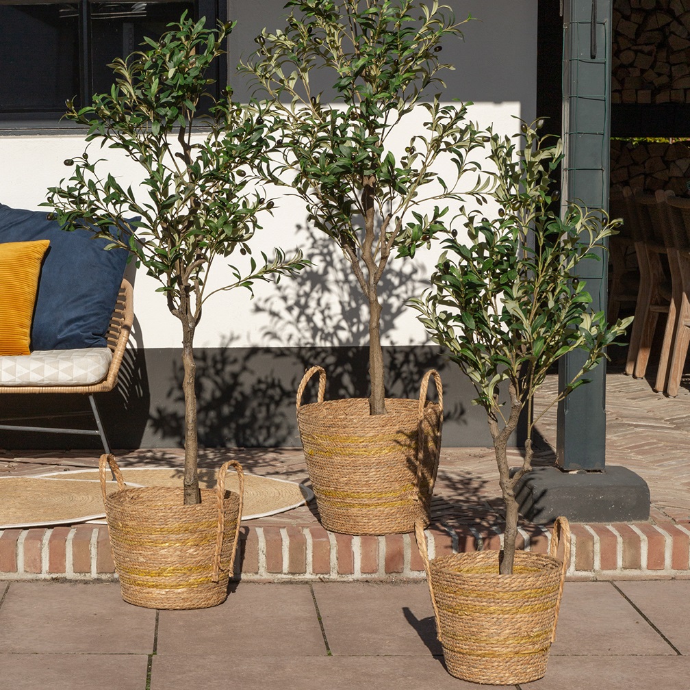 images 8718318048813_2