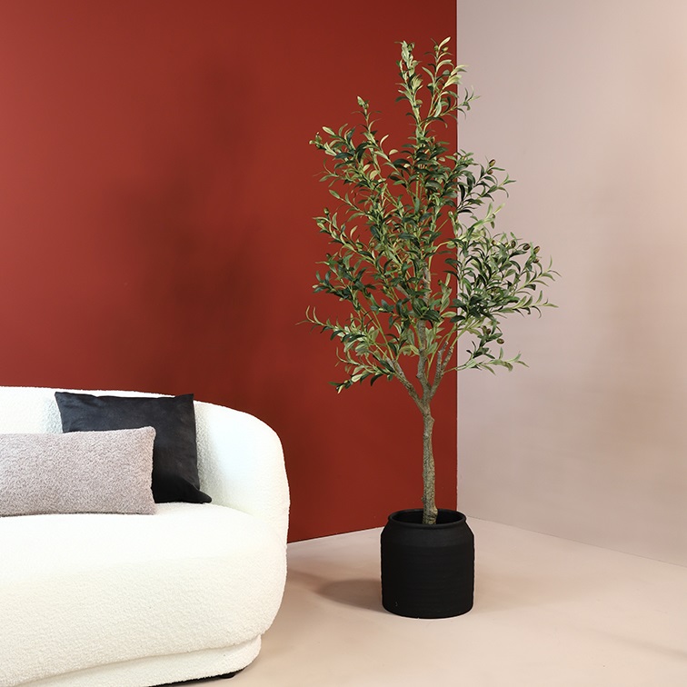 images 8718318048837_1