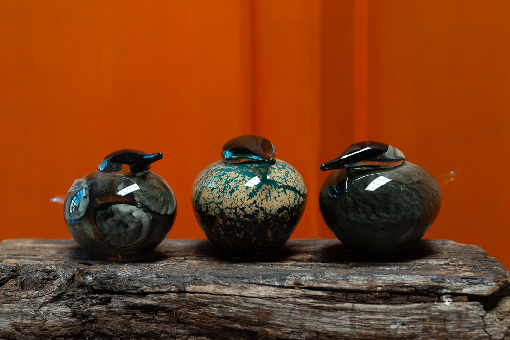 images Fidrio vogels Eliassen.nl