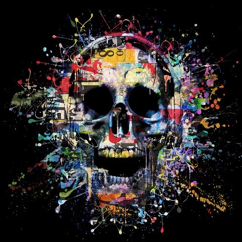 glasschilderij modern schedel - Eliassen.nl