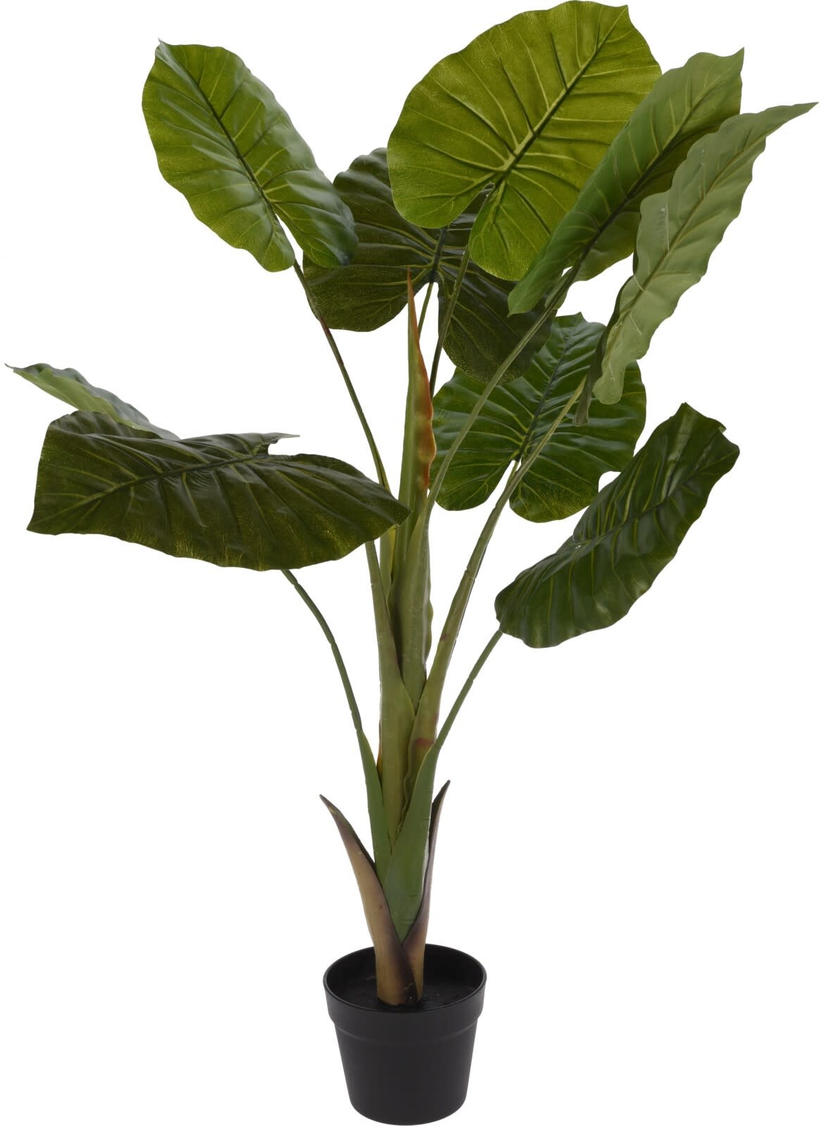 Kunstplant Alocasia Eliassen.nl  318001220