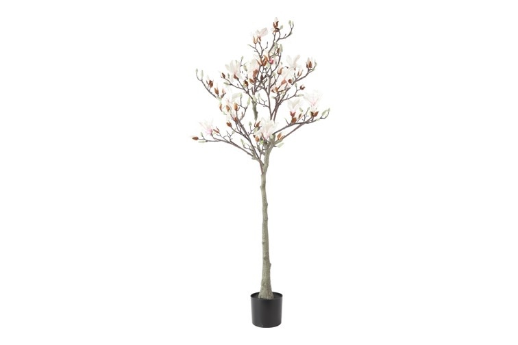 Kunstplant Bloeiende Magnolia wit 150cm - Eliassen.nl