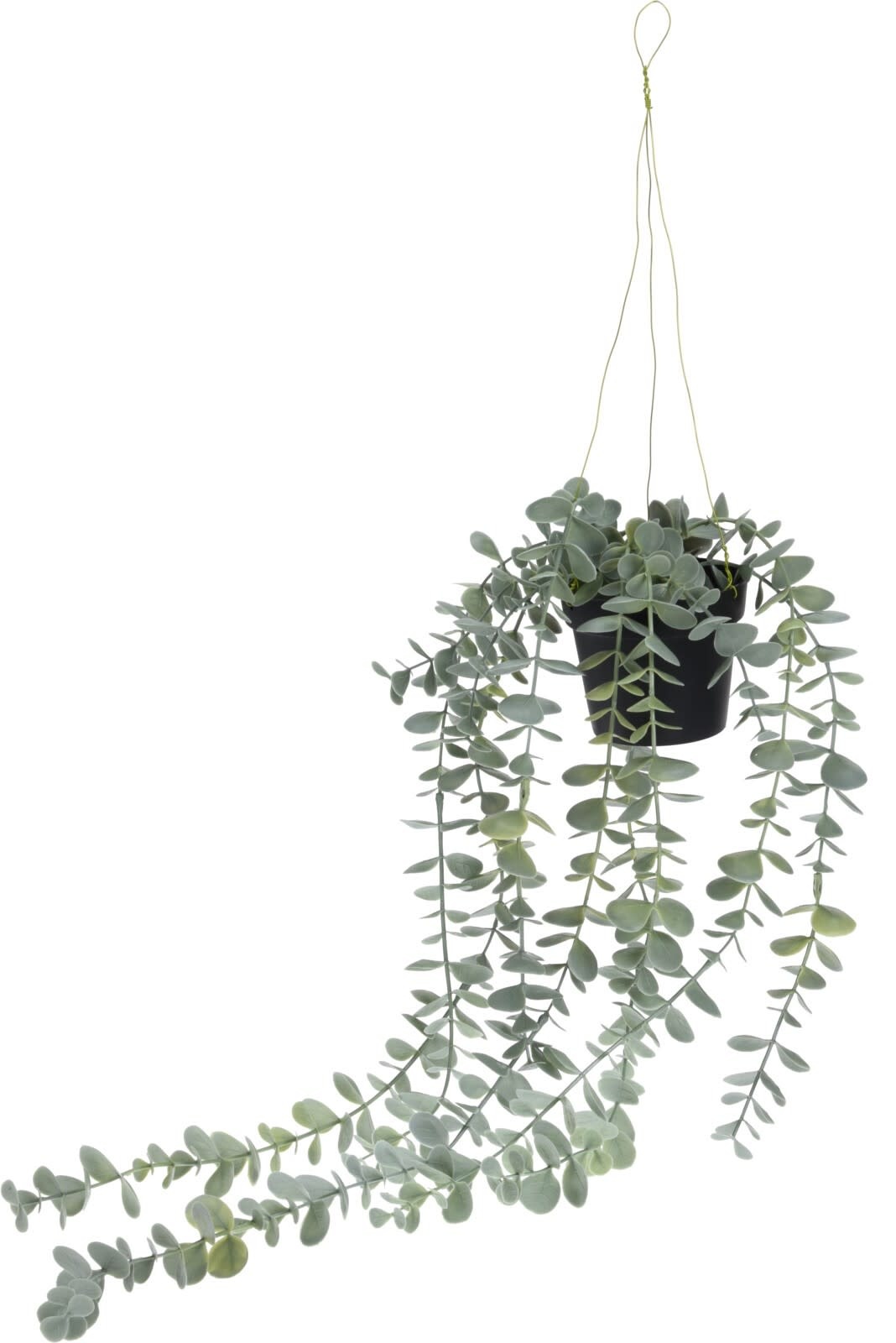 images Kunstplant hangplant eucalyptus Eliassen.nl 317221070