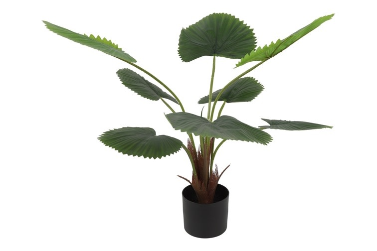 images Kunstplant Livistona 100cm - Eliassen.nl