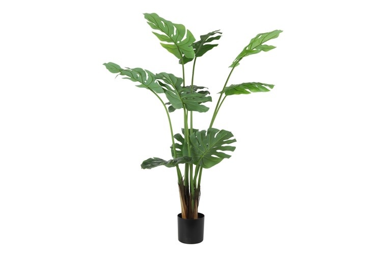 Kunstplant Monstera 160cm - Eliassen.nl