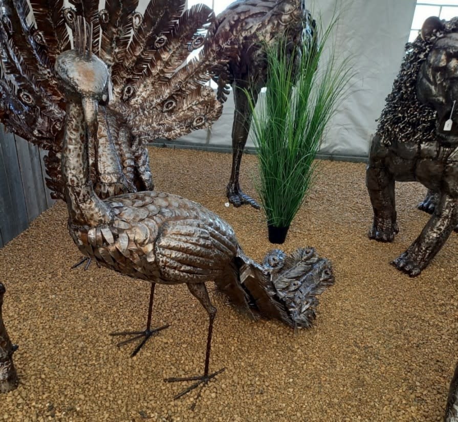 images Pauw van ijzer staart omlaag Eliassen.nl AA8016