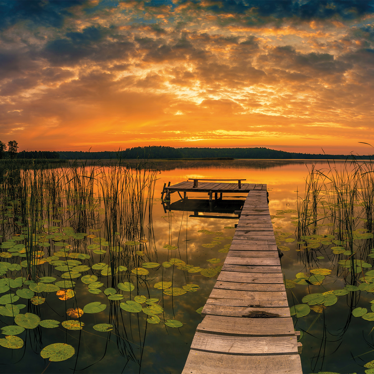 images Schilderij paneel Eliassen.nl panorama-0927-1x1