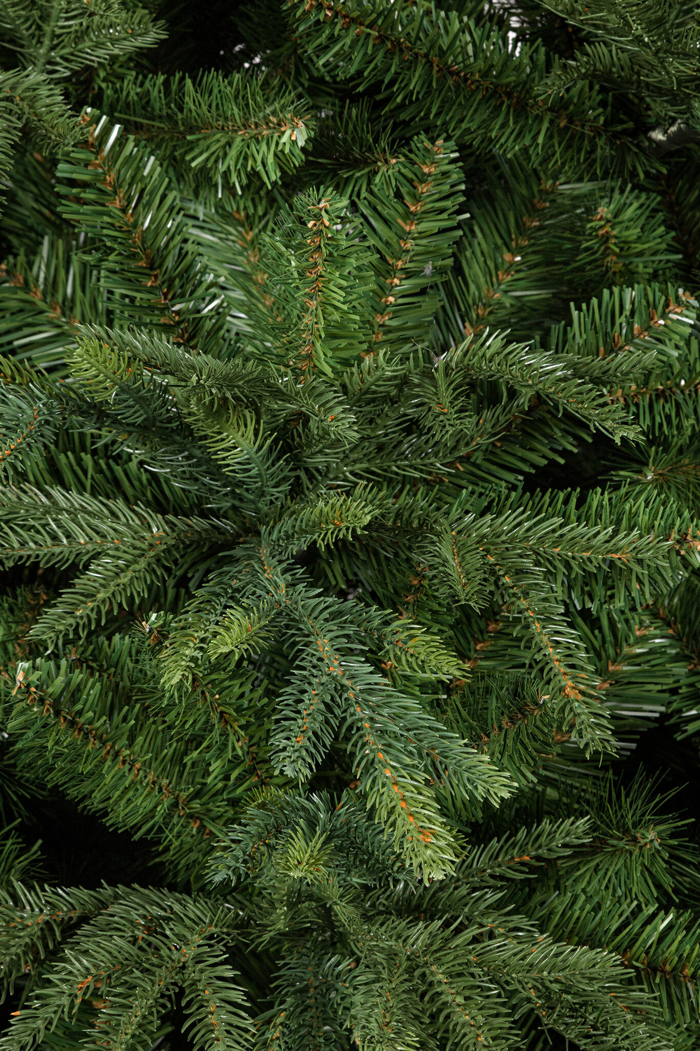 images Detail foto Noble tree Eliassen.nl 83115