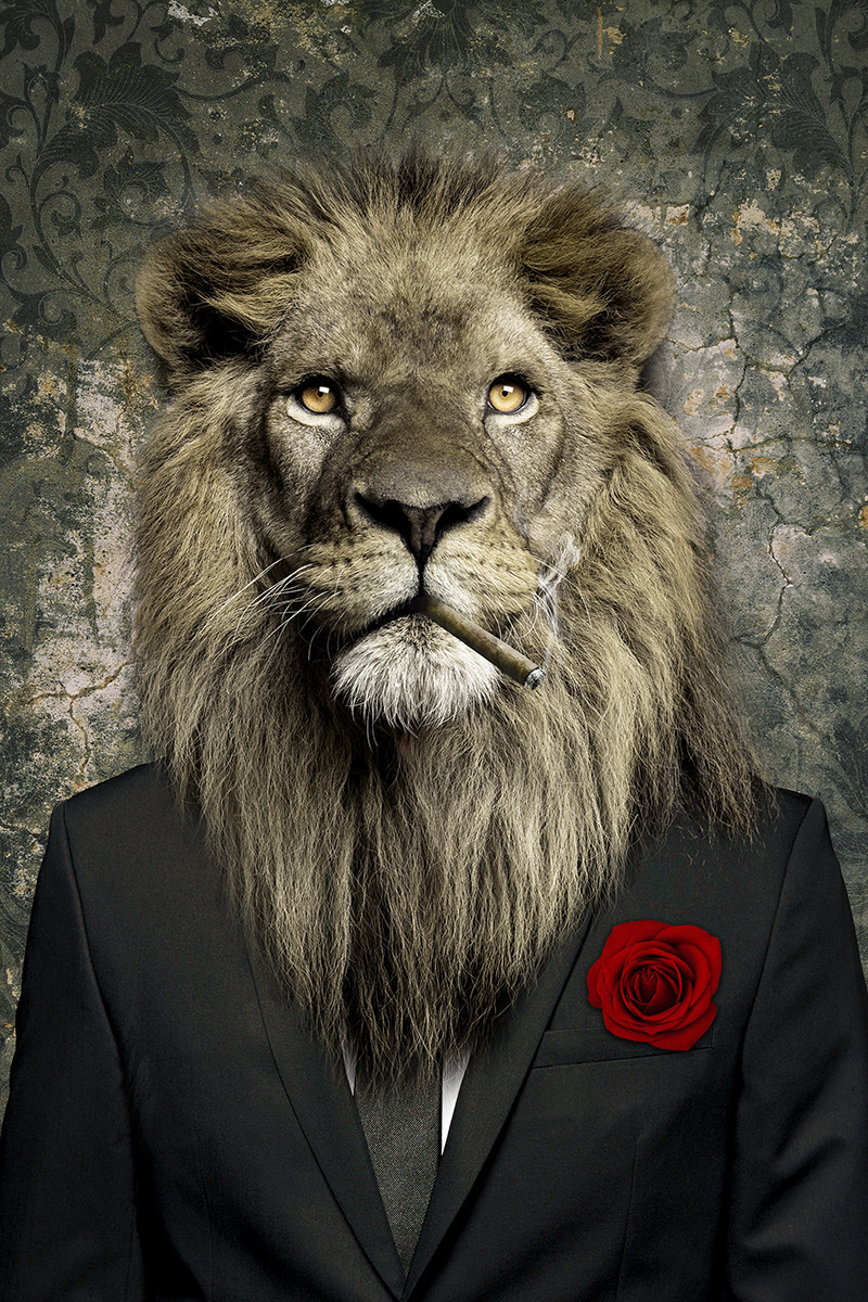 images Glasschilderij Leeuw met roos Eliassen.nl fk7112