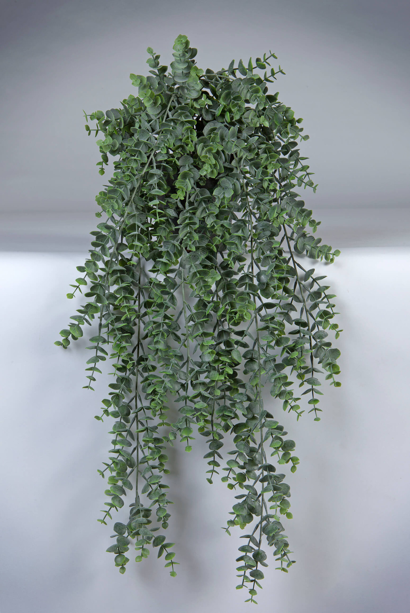 Kunst hangplant Eucalyptus 70cm Eliassen.nl 06485PP