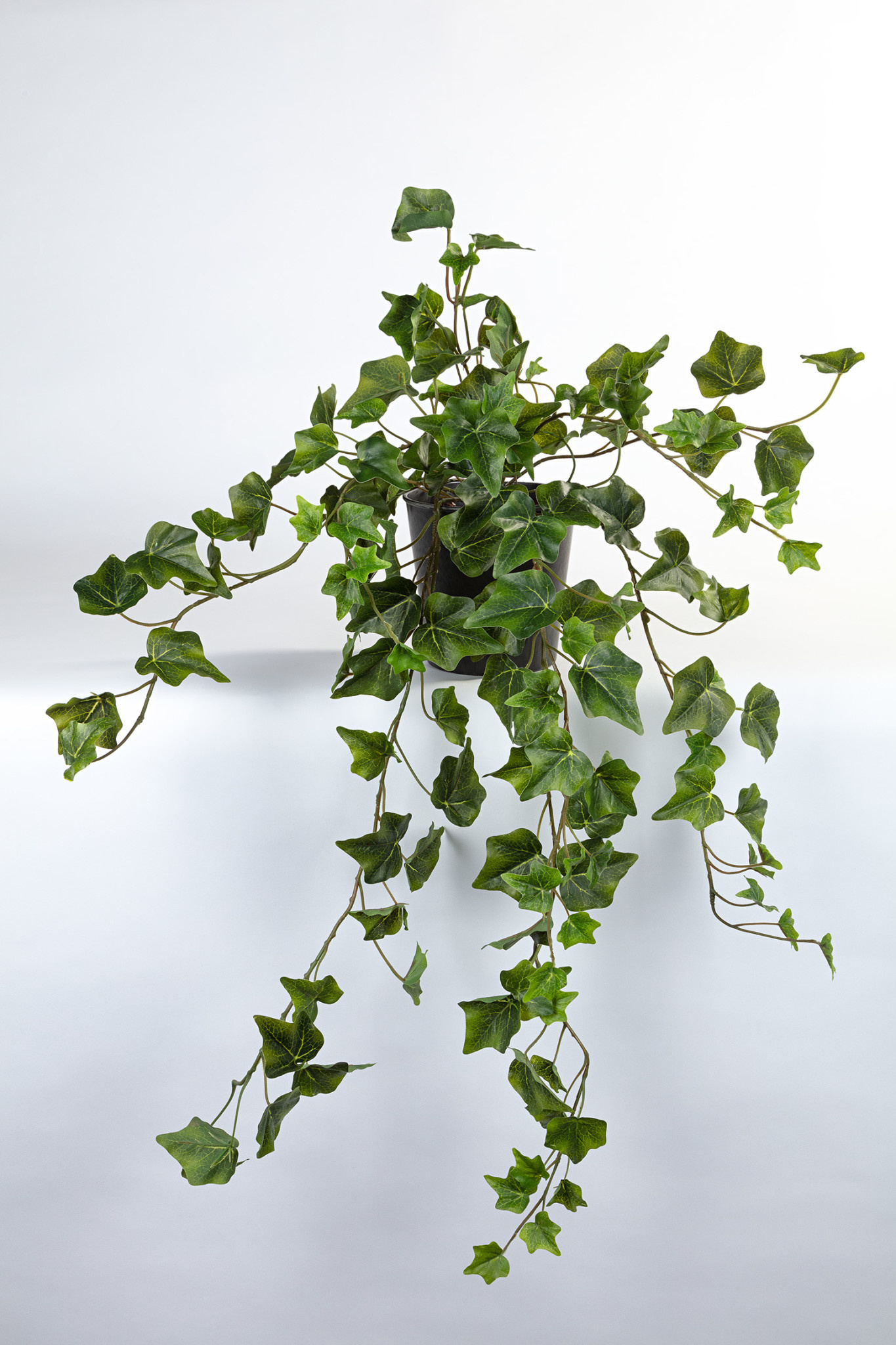 Kunst hangplant Hedera 80cm Eliassen.nl 10053pgr.