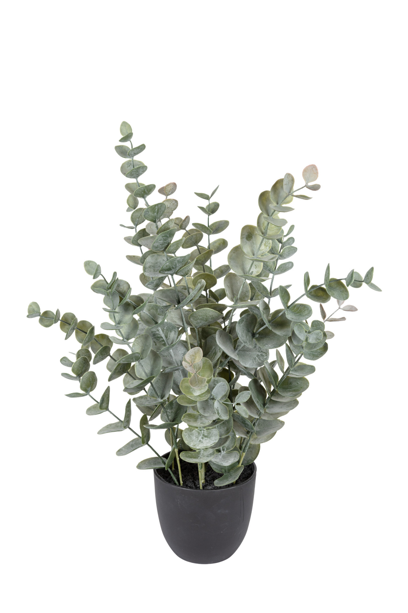 images Kunstplant Eucalyptus 52cm groen Eliassen.nl 40599 000